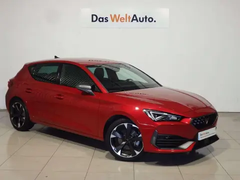 Used CUPRA LEON Petrol 2024 Ad 