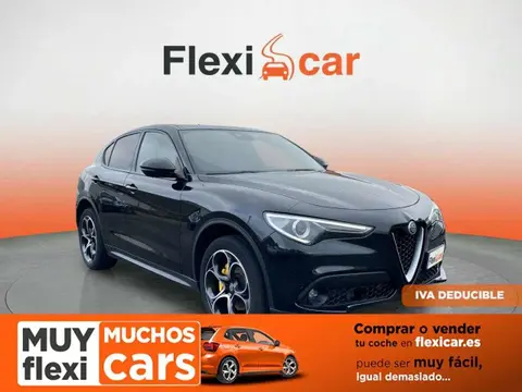 Used ALFA ROMEO STELVIO Diesel 2019 Ad 