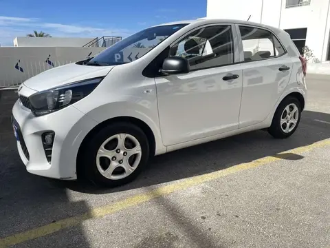 Used KIA PICANTO Petrol 2019 Ad 