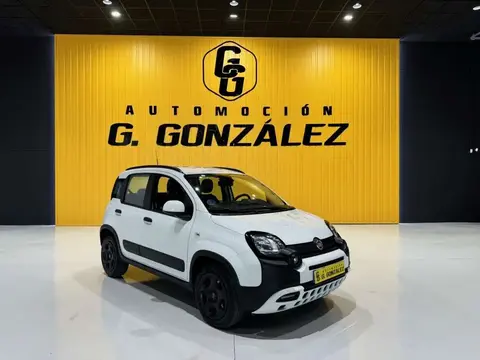 Annonce FIAT PANDA Essence 2023 d'occasion 