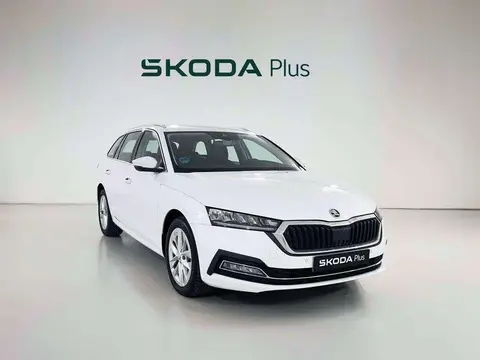 Annonce SKODA OCTAVIA Diesel 2023 d'occasion 