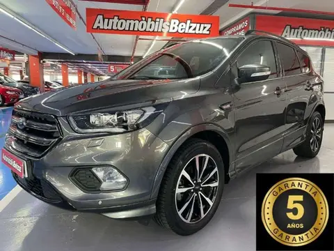 Annonce FORD KUGA Essence 2019 d'occasion 