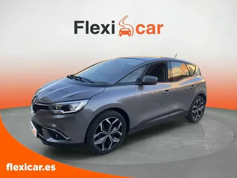 Used RENAULT SCENIC Diesel 2017 Ad 