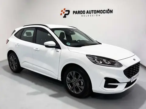 Used FORD KUGA Petrol 2023 Ad 