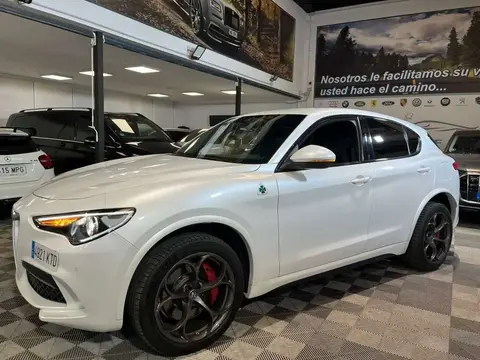 Used ALFA ROMEO STELVIO Petrol 2019 Ad 