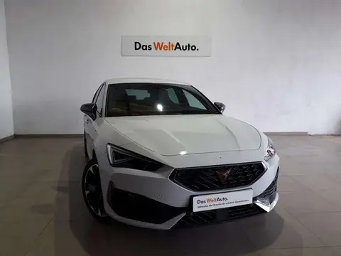 Used CUPRA LEON Hybrid 2023 Ad 