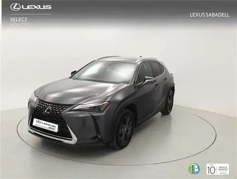 Annonce LEXUS UX Hybride 2023 d'occasion 