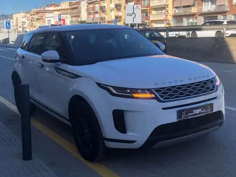 Used LAND ROVER RANGE ROVER EVOQUE Diesel 2019 Ad 