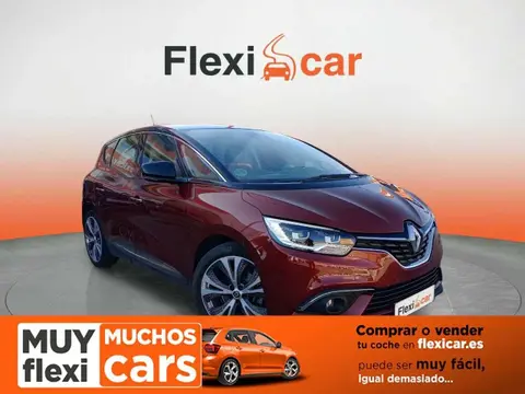 Used RENAULT SCENIC Petrol 2017 Ad 