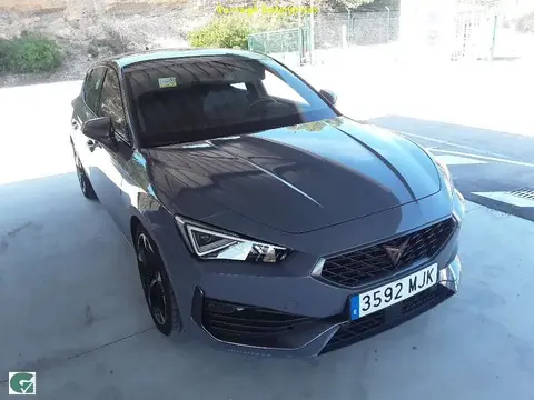 Annonce CUPRA LEON Essence 2023 d'occasion 