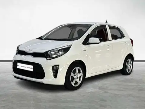 Used KIA PICANTO Petrol 2023 Ad 