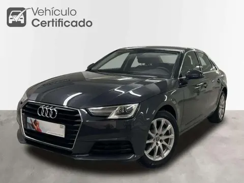 Used AUDI A4 Diesel 2018 Ad 