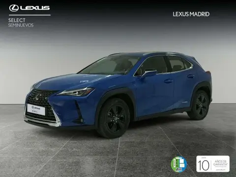 Used LEXUS UX Hybrid 2023 Ad 