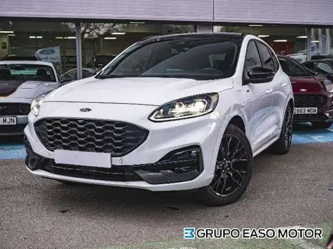 Annonce FORD KUGA Électrique 2023 d'occasion 