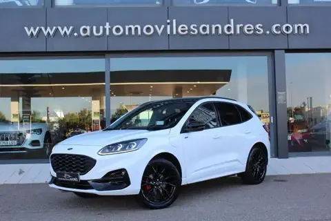 Annonce FORD KUGA Hybride 2023 d'occasion 