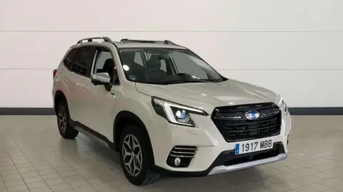 Annonce SUBARU FORESTER Essence 2022 d'occasion 