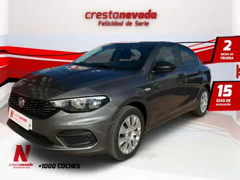 Used FIAT TIPO Diesel 2019 Ad 