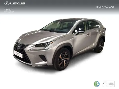 Used LEXUS NX Hybrid 2019 Ad 