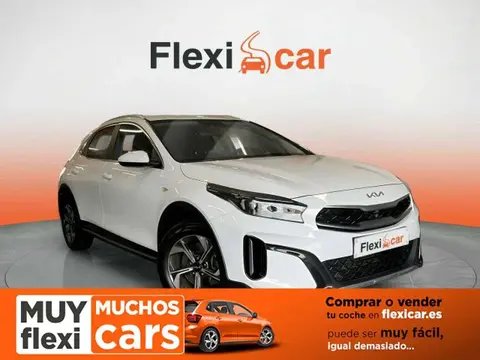 Used KIA XCEED Petrol 2022 Ad 