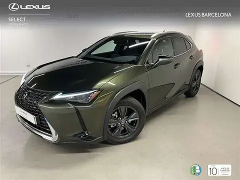 Used LEXUS UX  2024 Ad 