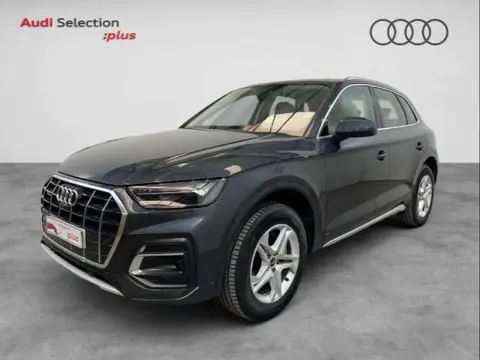 Annonce AUDI Q5  2024 d'occasion 