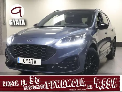 Used FORD KUGA Hybrid 2023 Ad 