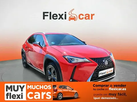 Used LEXUS UX Hybrid 2019 Ad 