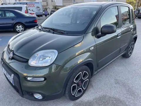 Used FIAT PANDA Petrol 2021 Ad 