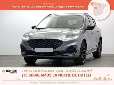 Annonce FORD KUGA Essence 2022 d'occasion 