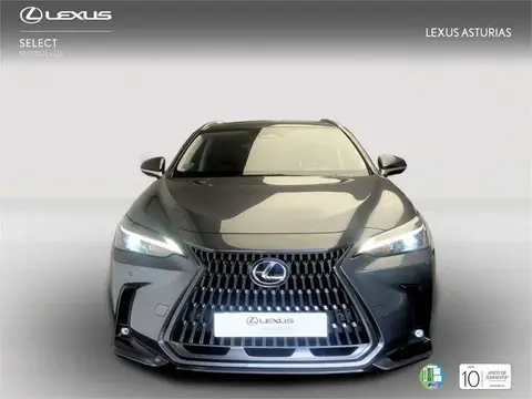 Used LEXUS NX Hybrid 2022 Ad 