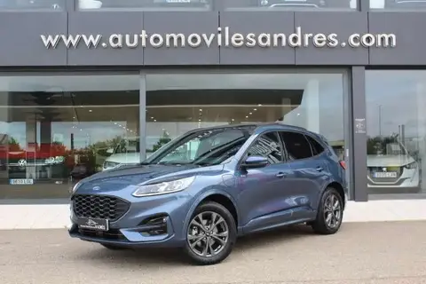 Annonce FORD KUGA Hybride 2023 d'occasion 