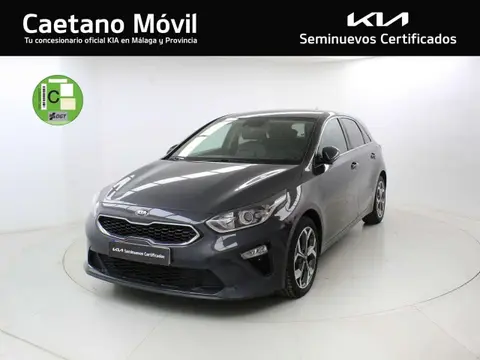 Used KIA CEED Petrol 2019 Ad 