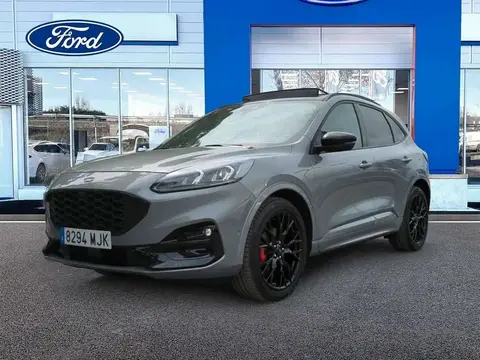 Annonce FORD KUGA Hybride 2023 d'occasion 