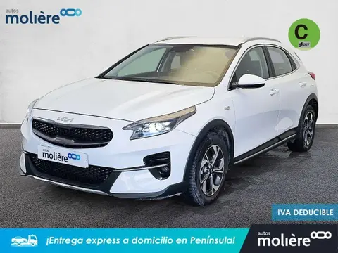 Used KIA XCEED Petrol 2022 Ad 