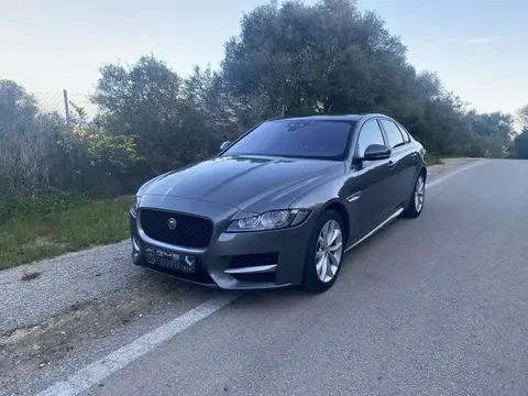 Annonce JAGUAR XF Diesel 2016 d'occasion 