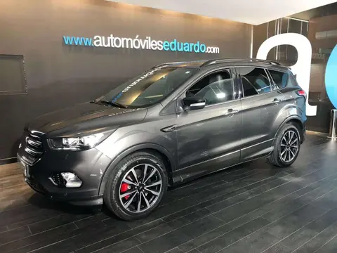 Used FORD KUGA Petrol 2019 Ad 