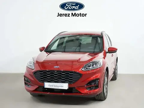 Annonce FORD KUGA  2021 d'occasion 