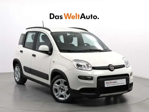 Used FIAT PANDA Hybrid 2023 Ad 