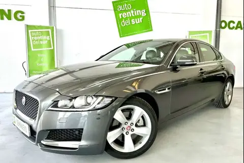 Used JAGUAR XF Diesel 2018 Ad 