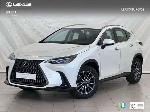 Annonce LEXUS NX Hybride 2024 d'occasion 