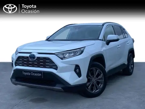 Used TOYOTA RAV4 Hybrid 2023 Ad 