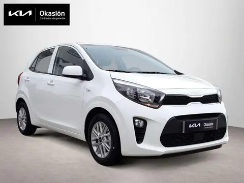 Used KIA PICANTO Petrol 2024 Ad 