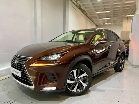 Used LEXUS NX Hybrid 2019 Ad 