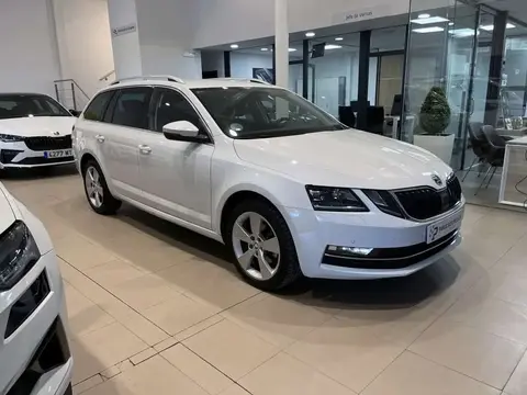 Annonce SKODA OCTAVIA Diesel 2019 d'occasion 