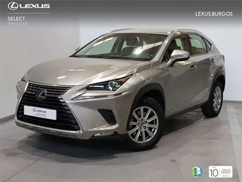 Annonce LEXUS NX Essence 2020 d'occasion 