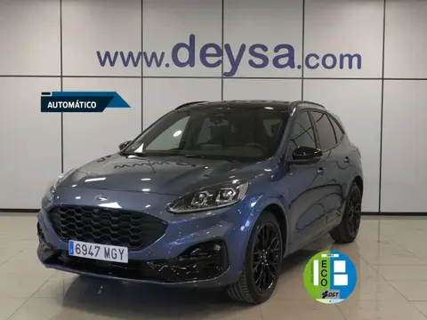 Annonce FORD KUGA Essence 2023 d'occasion 