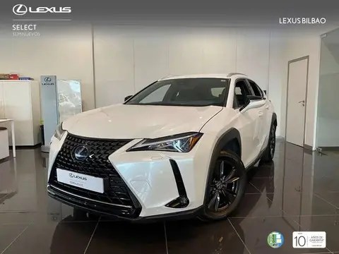 Used LEXUS UX Electric 2020 Ad 