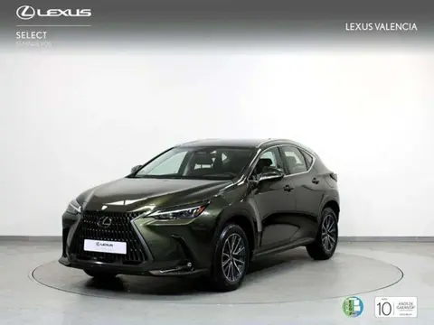 Used LEXUS NX Hybrid 2024 Ad 