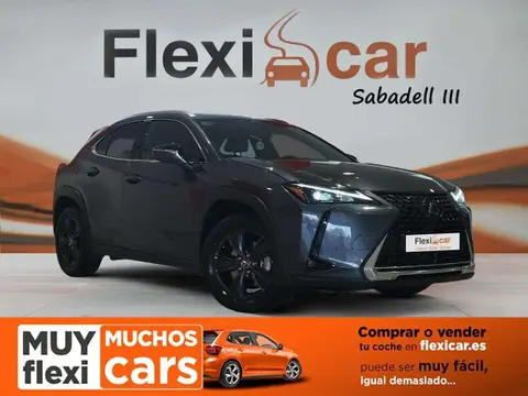 Used LEXUS UX Hybrid 2023 Ad 