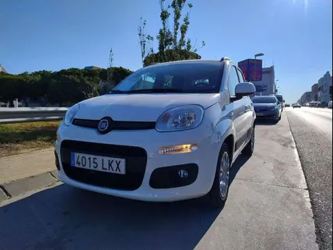 Used FIAT PANDA Petrol 2020 Ad 